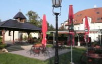 Bilder von Helmut